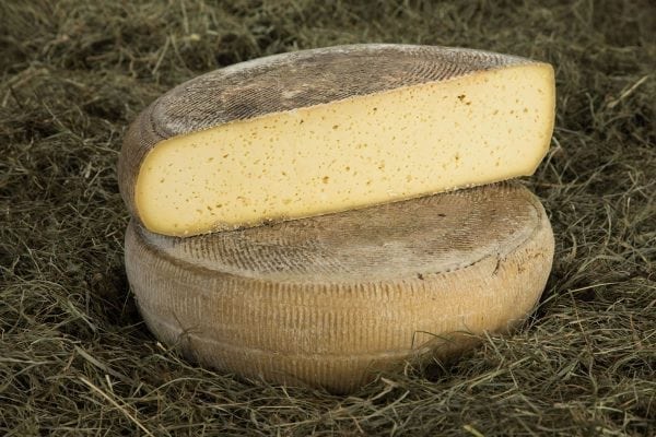 Dairy Cheese