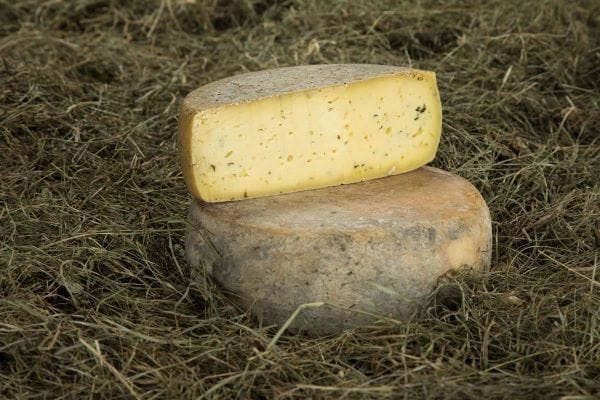 Toma fresca erba cipollina