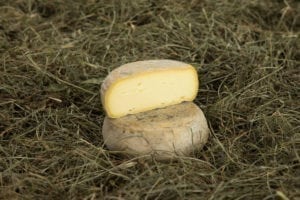 Cow’s milk Toma